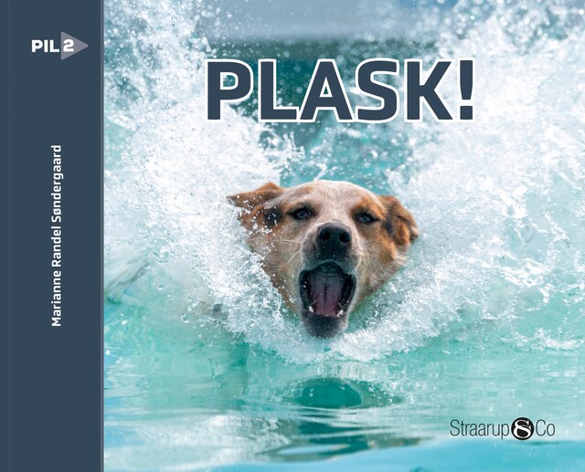 Copertina del libro per Plask!