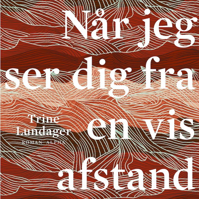 Copertina del libro per Når jeg ser dig fra en vis afstand