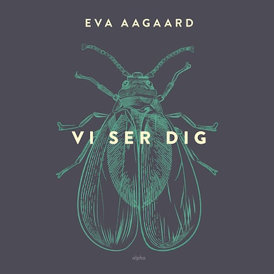Vi ser dig