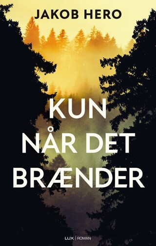 Kun når det brænder bookCoverFor