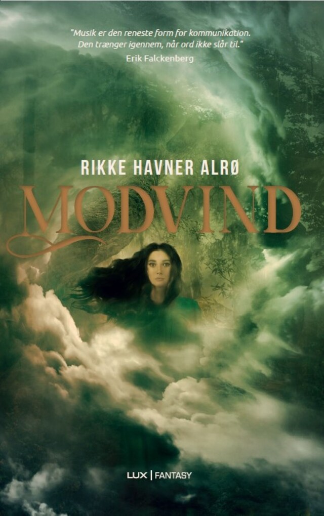Book cover for Modvind