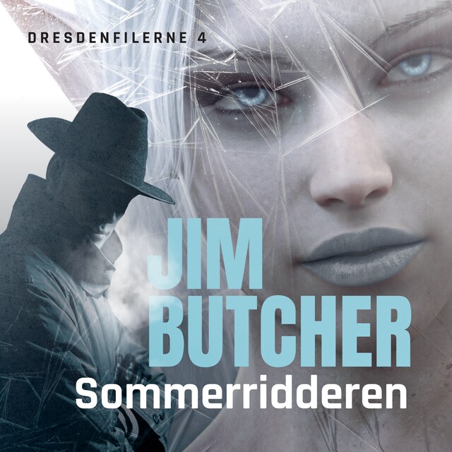Book cover for Sommerridderen