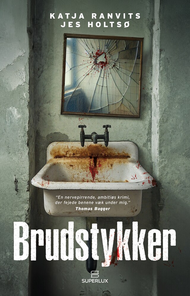 Book cover for Brudstykker