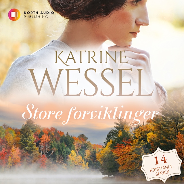 Book cover for Store forviklinger