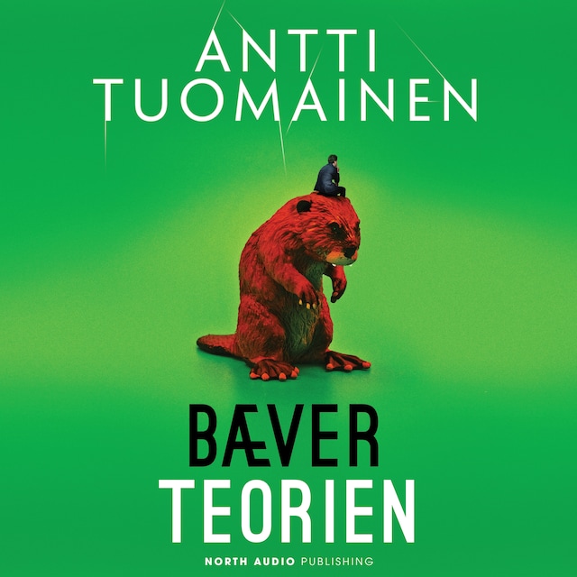 Buchcover für Bæverteorien