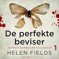 De perfekte beviser