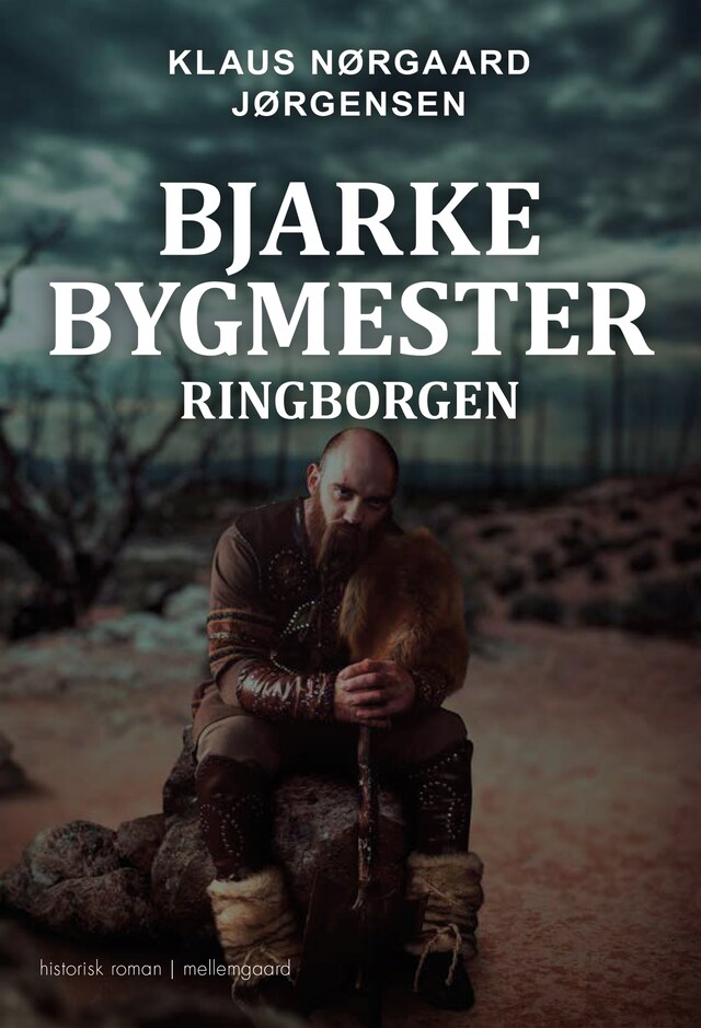 Boekomslag van Bjarke Bygmester - Ringborgen