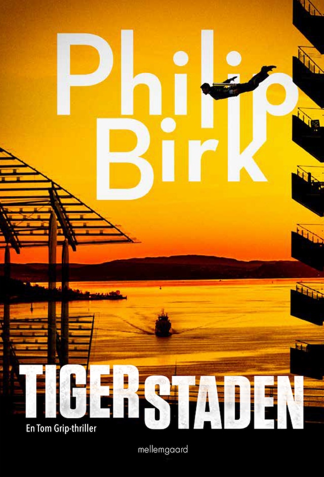Book cover for Tigerstaden
