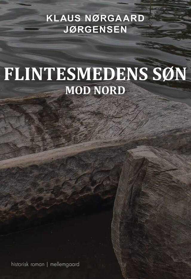 Book cover for Flintesmedens søn - Mod nord