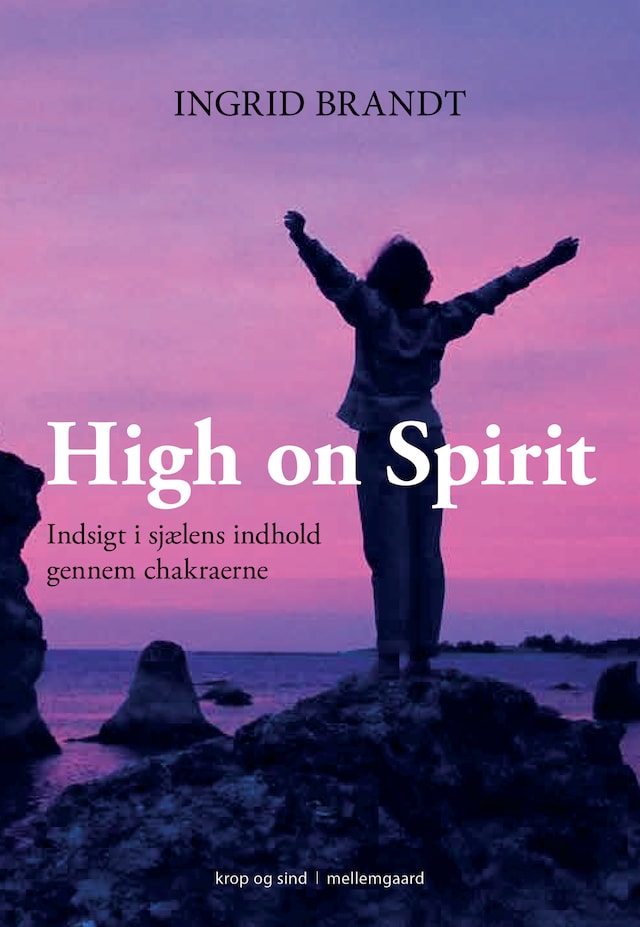 Buchcover für High on Spirit
