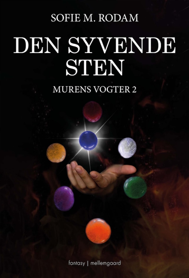 Book cover for Den syvende sten