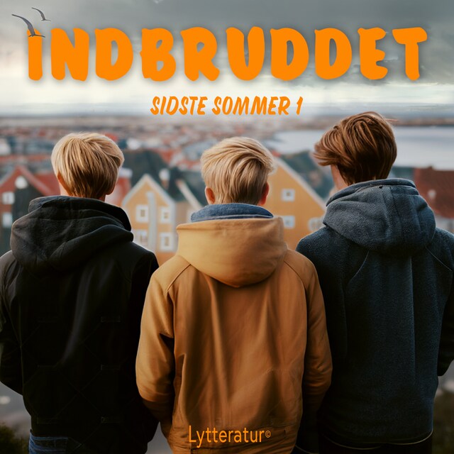 Copertina del libro per Indbruddet