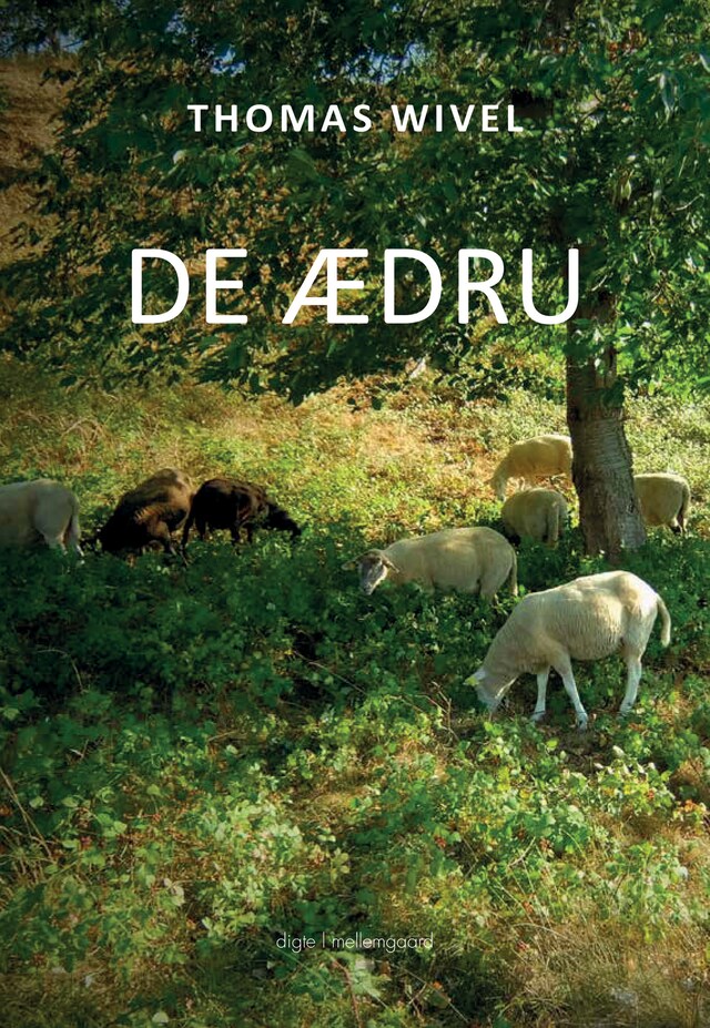 De ædru Boekomslag van De ædru