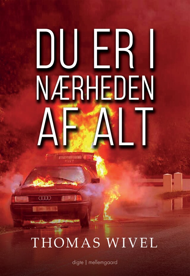 Book cover for Du er i nærheden af alt