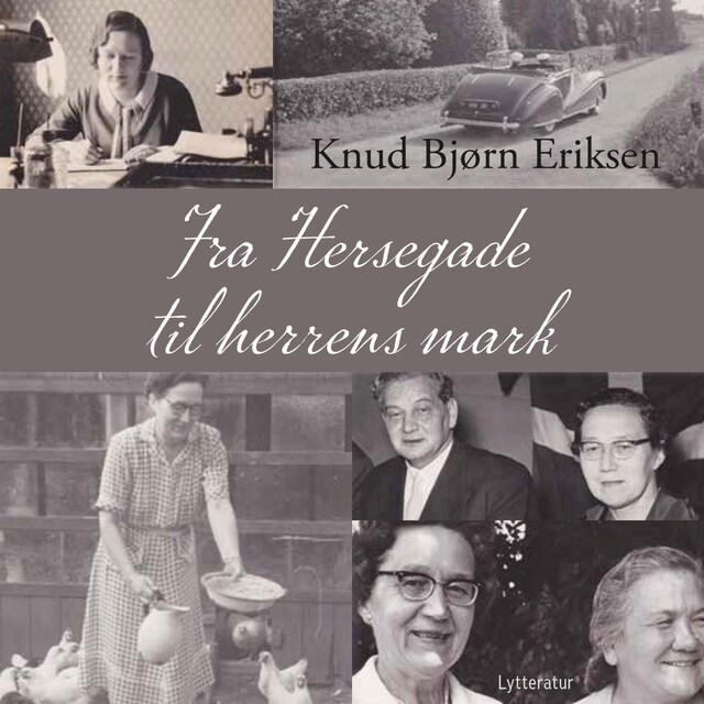 Copertina del libro per Fra Hersegade til herrens mark