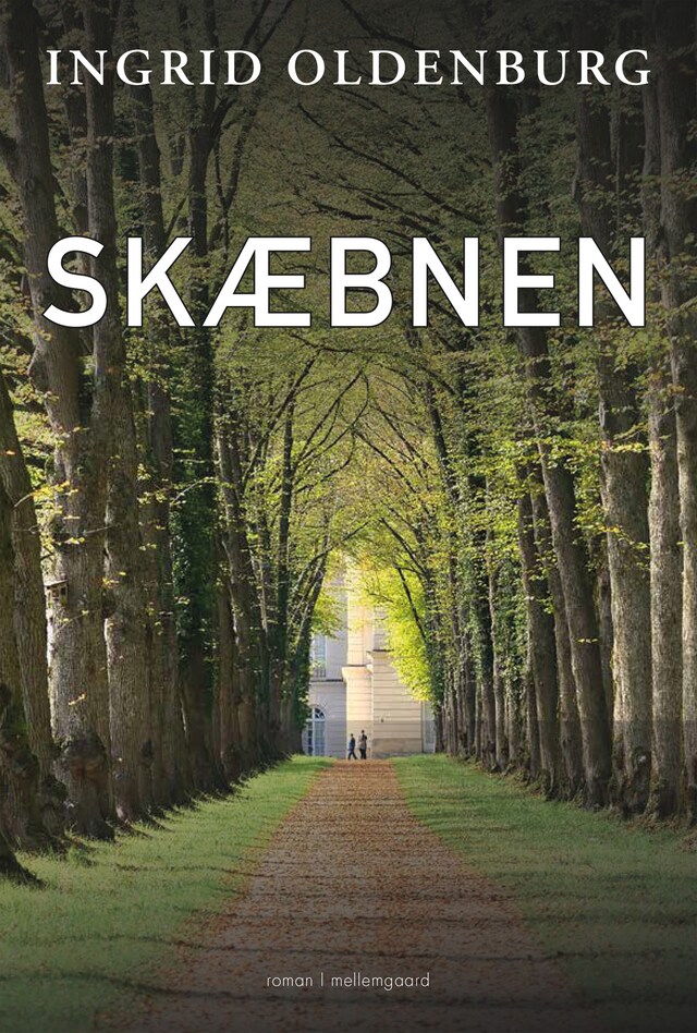 Portada de libro para Skæbnen