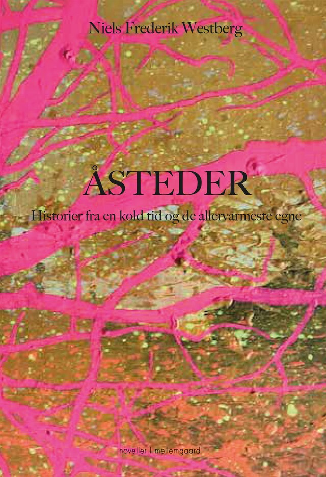 Okładka książki dla Åsteder