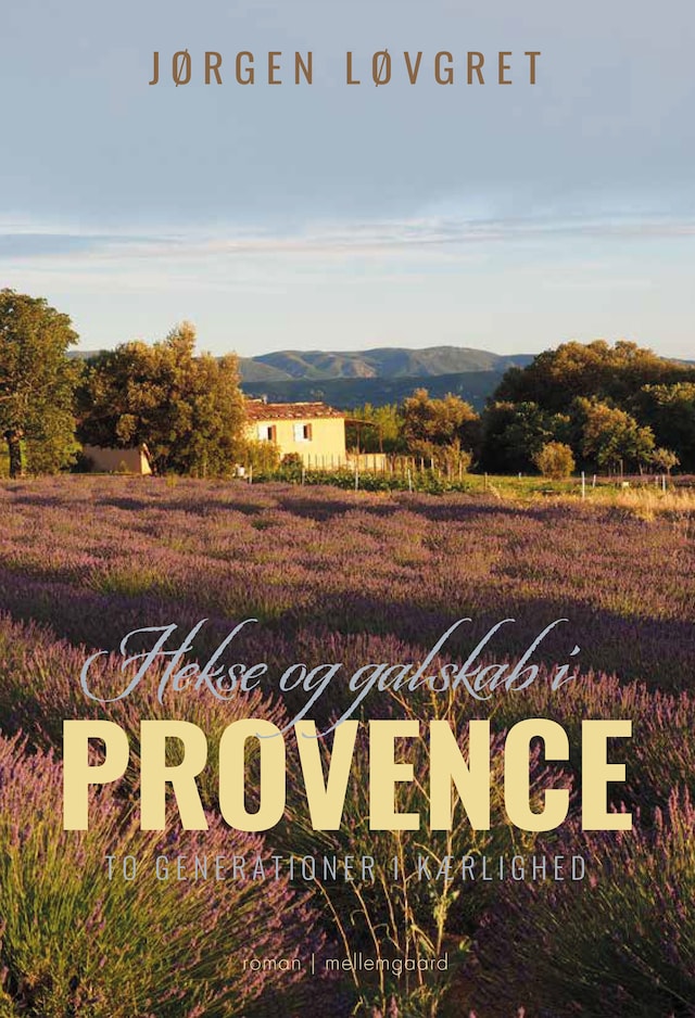 Book cover for Hekse og galskab i Provence