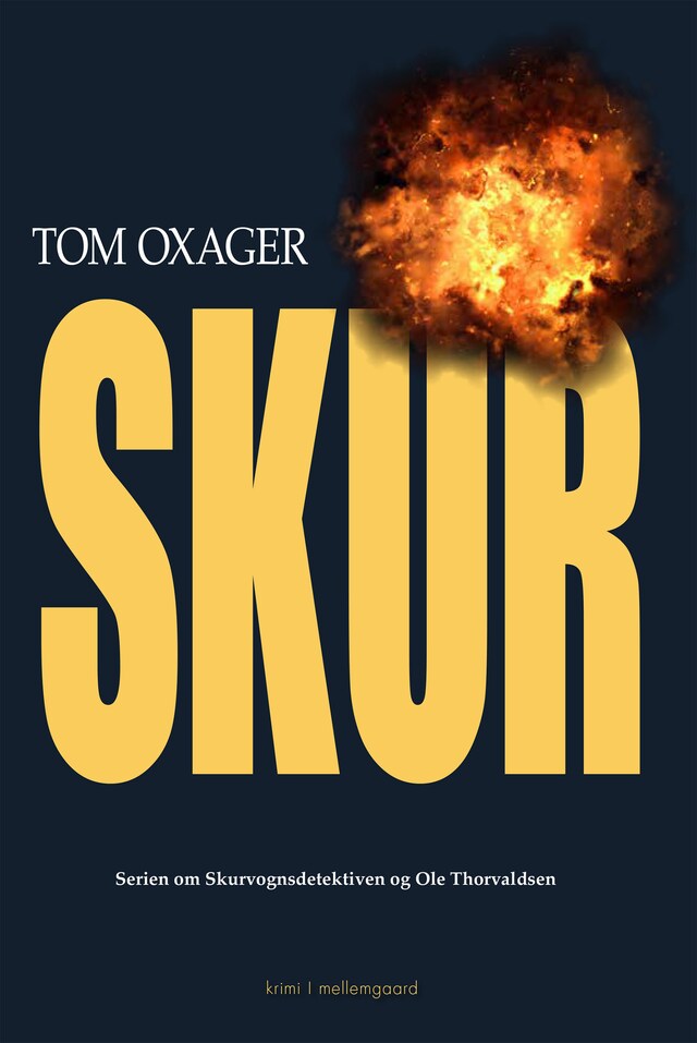 Book cover for SKUR
