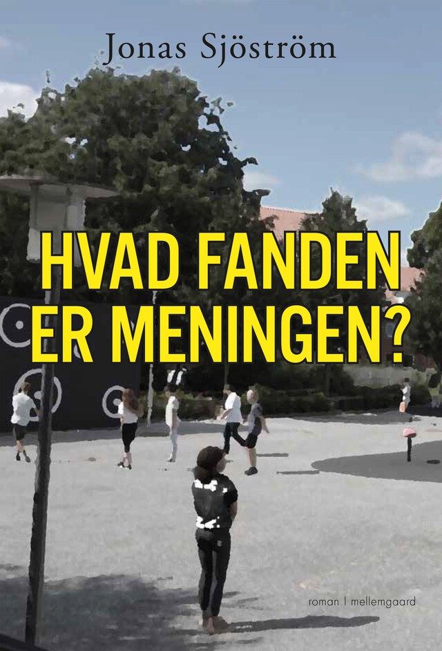 Bogomslag for Hvad fanden er meningen?