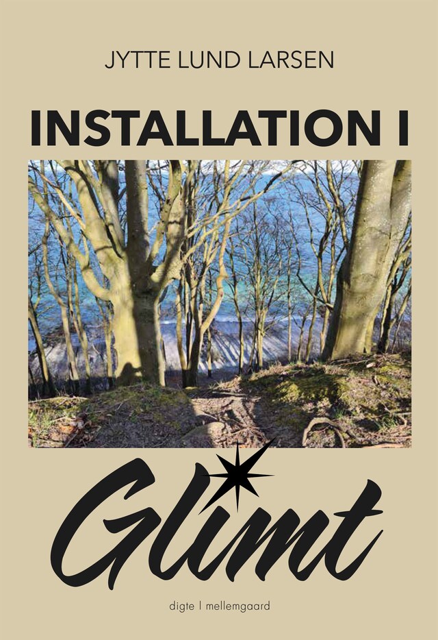 Copertina del libro per Installation i glimt