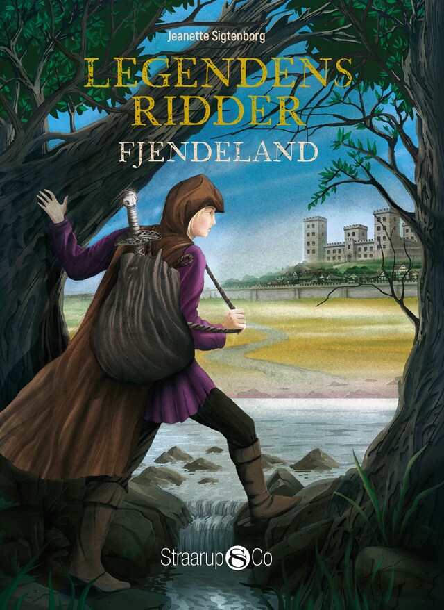 Book cover for Legendens ridder - Fjendeland