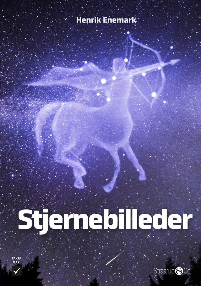 Book cover for Stjernebilleder