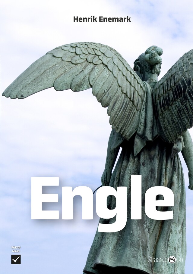 Book cover for Engle