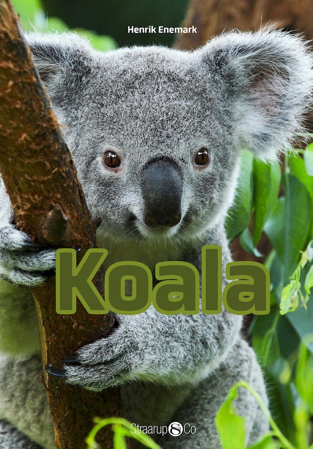 Copertina del libro per Koala