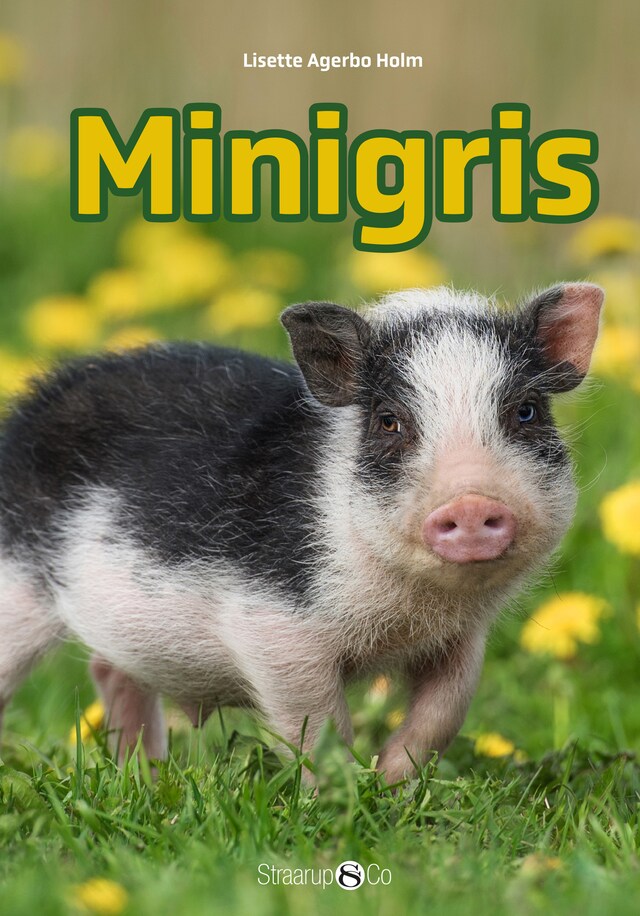 Okładka książki dla Minigris
