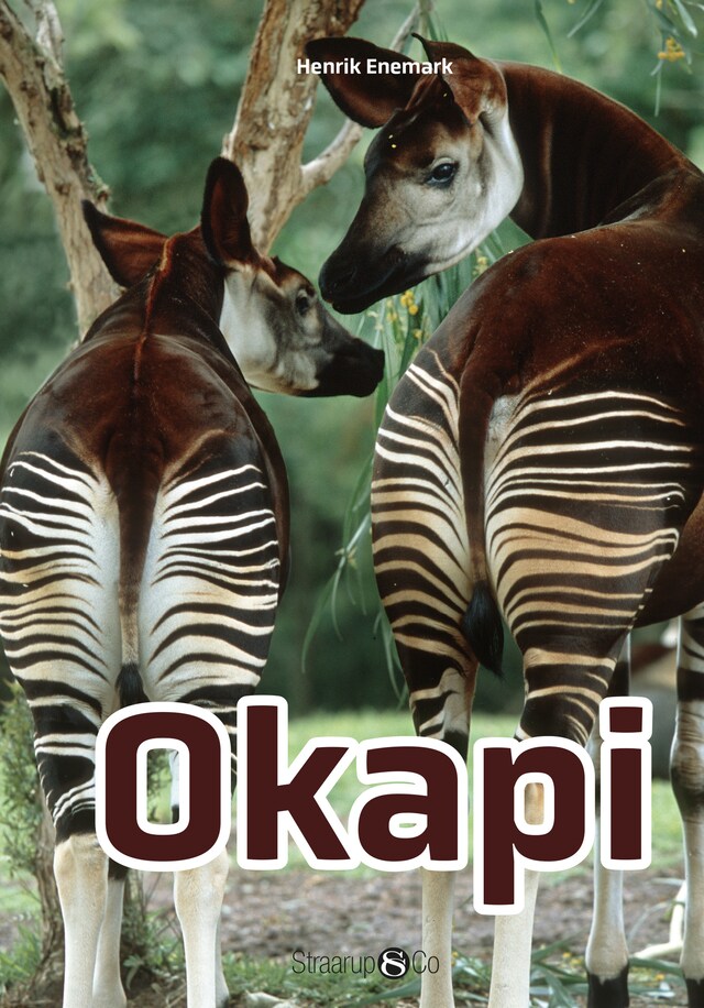 Copertina del libro per Okapi