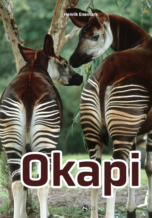 Copertina del libro per Okapi