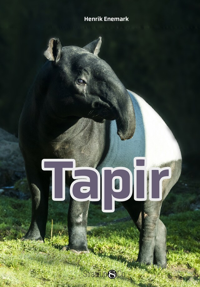 Copertina del libro per Tapir