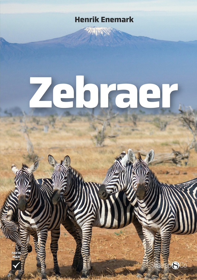 Boekomslag van Zebraer