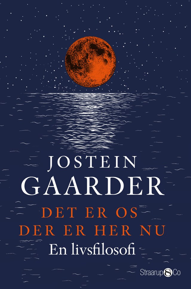 Book cover for Det er os der er her nu