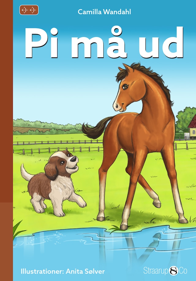 Book cover for Pi må ud