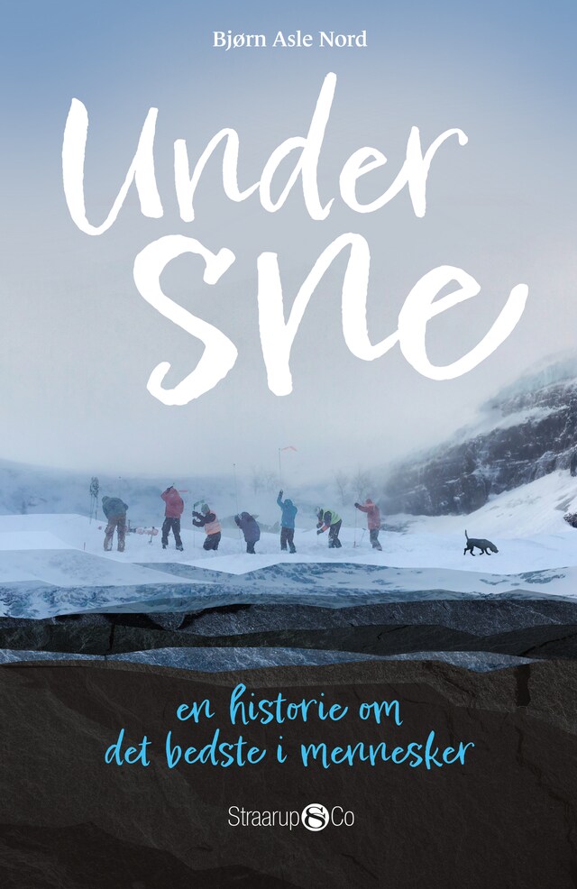 Buchcover für Under sne