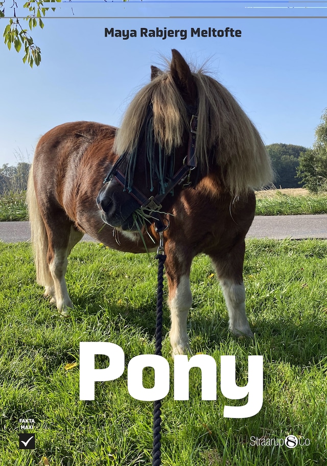 Buchcover für Pony