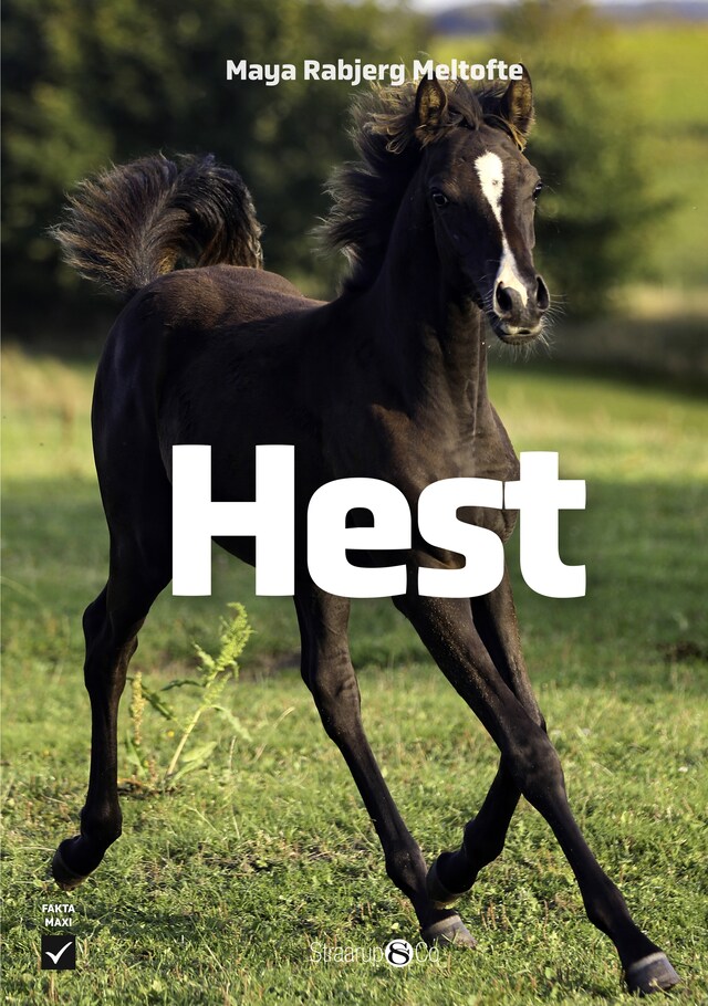 Book cover for Hest