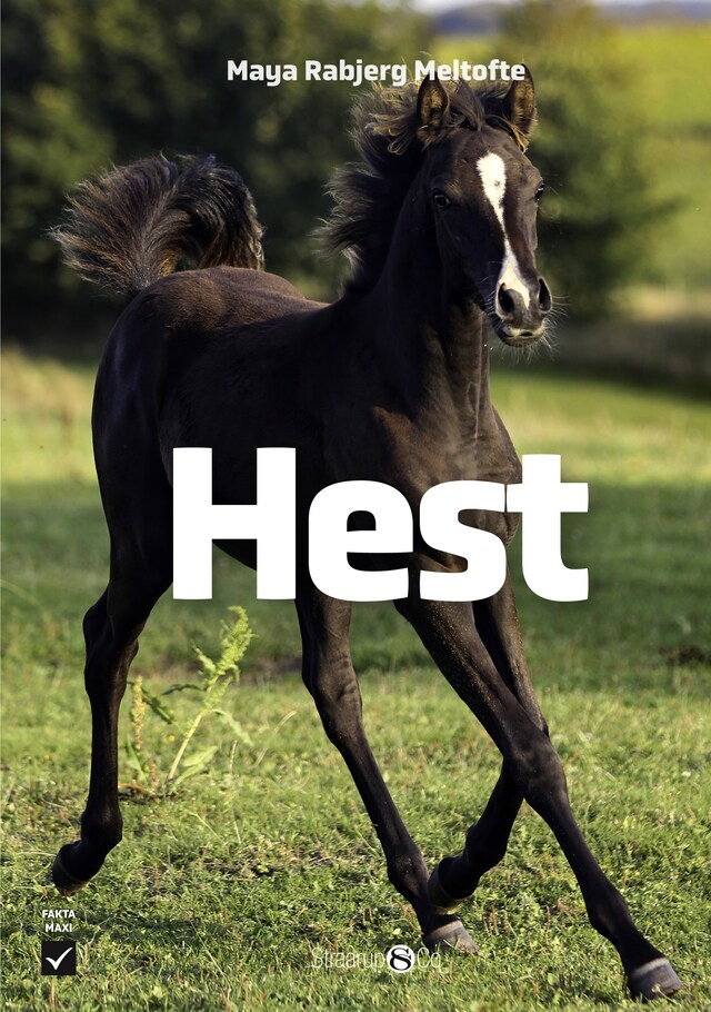 Hest Bokomslag för Hest