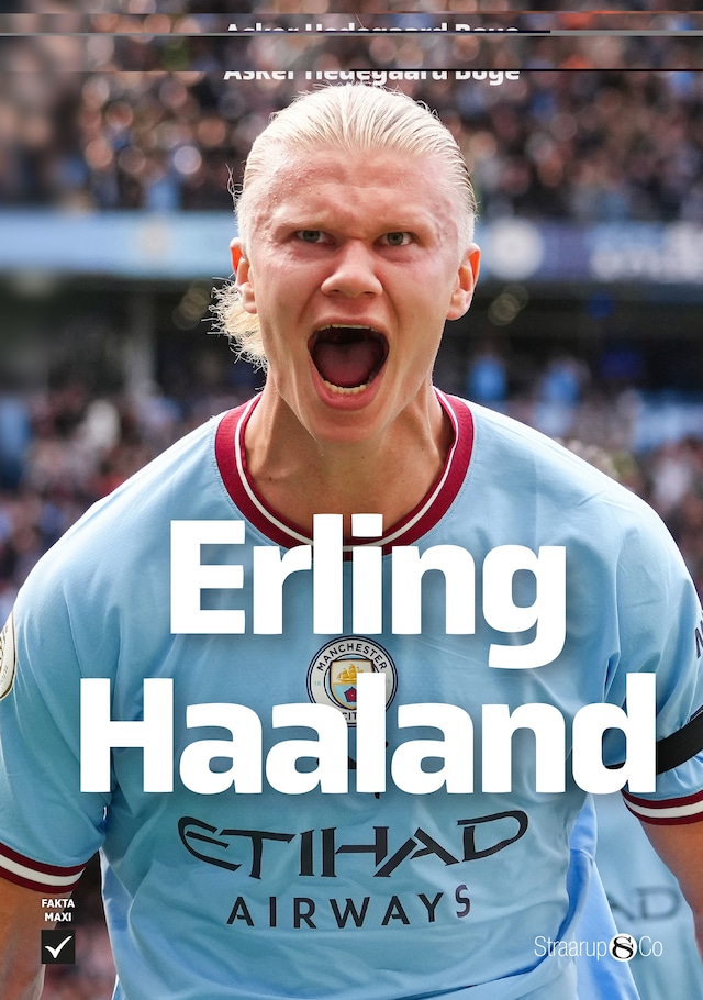 Book cover for Erling Haaland