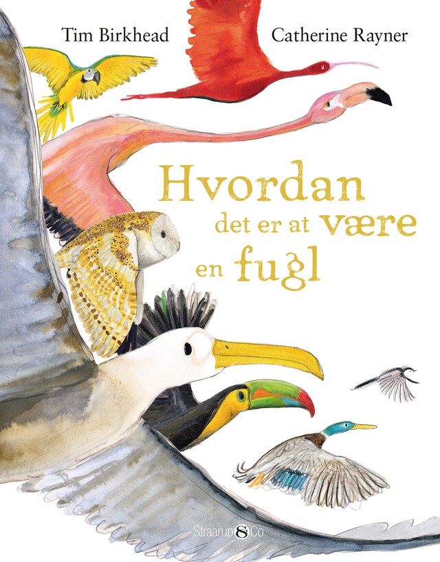 Boekomslag van Hvordan det er at være en fugl