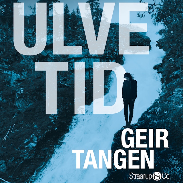 Buchcover für Ulvetid