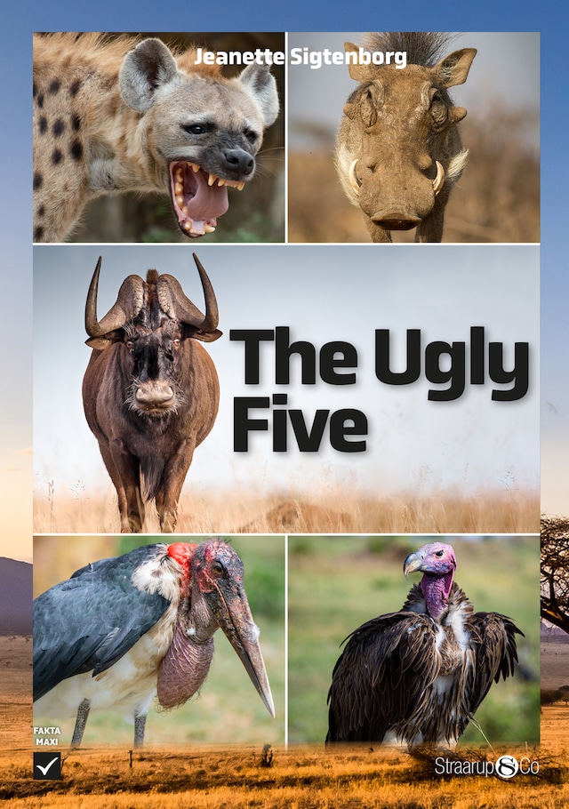 Kirjankansi teokselle The Ugly Five