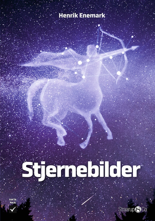 Okładka książki dla Stjernebilder (norsk)