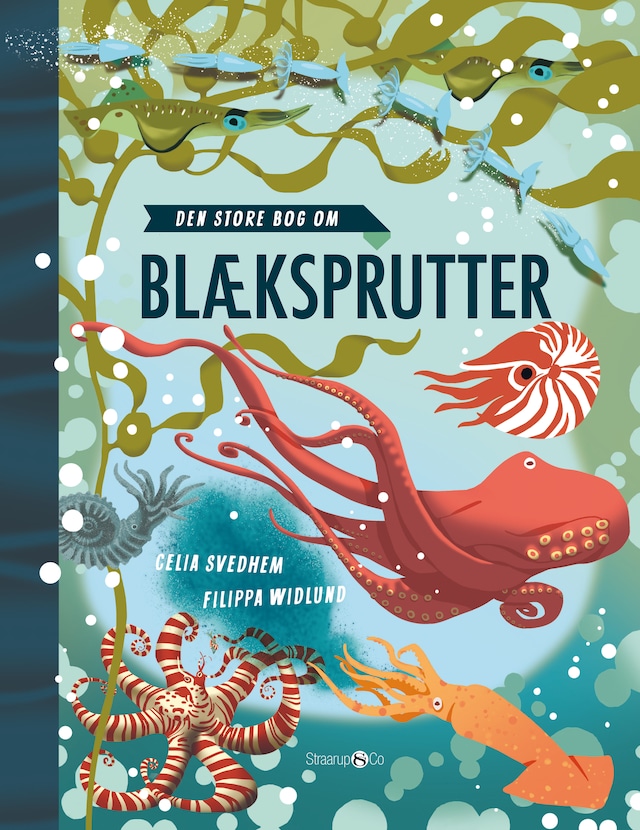 Book cover for Den store bog om blæksprutter