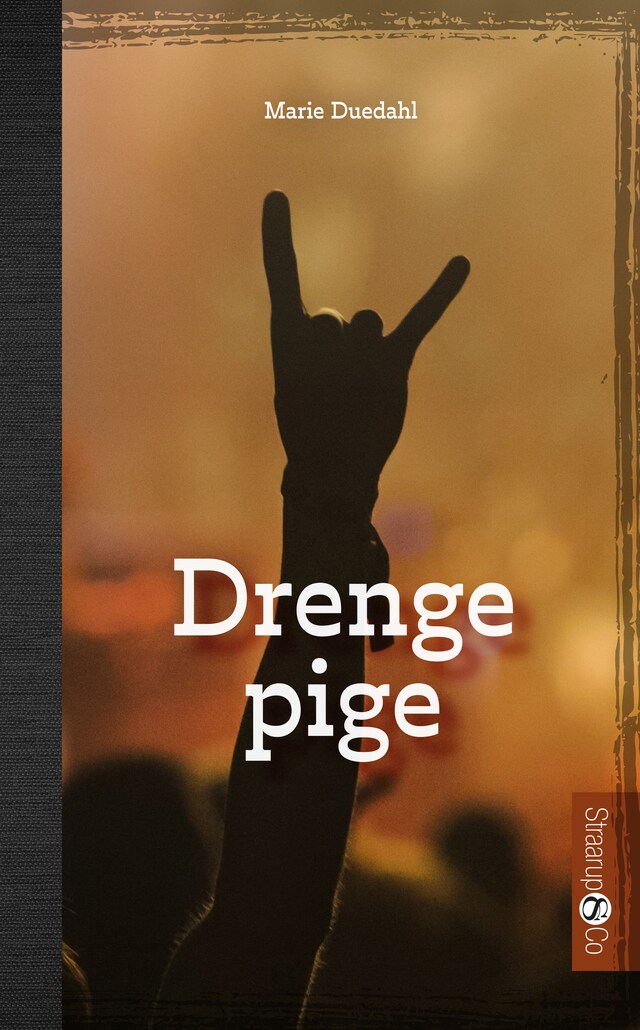 Book cover for Drengepige