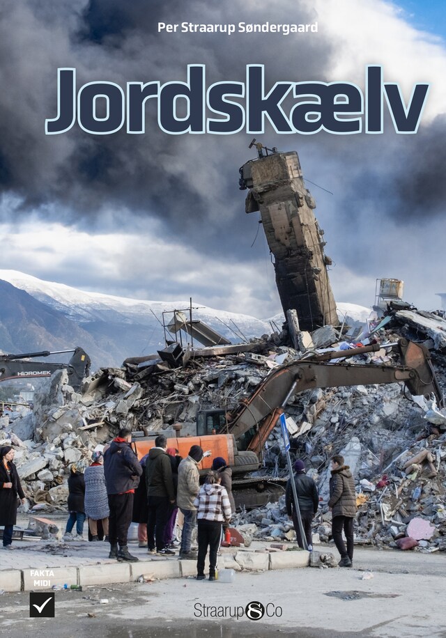 Copertina del libro per Jordskælv