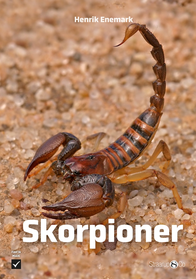 Book cover for Skorpioner