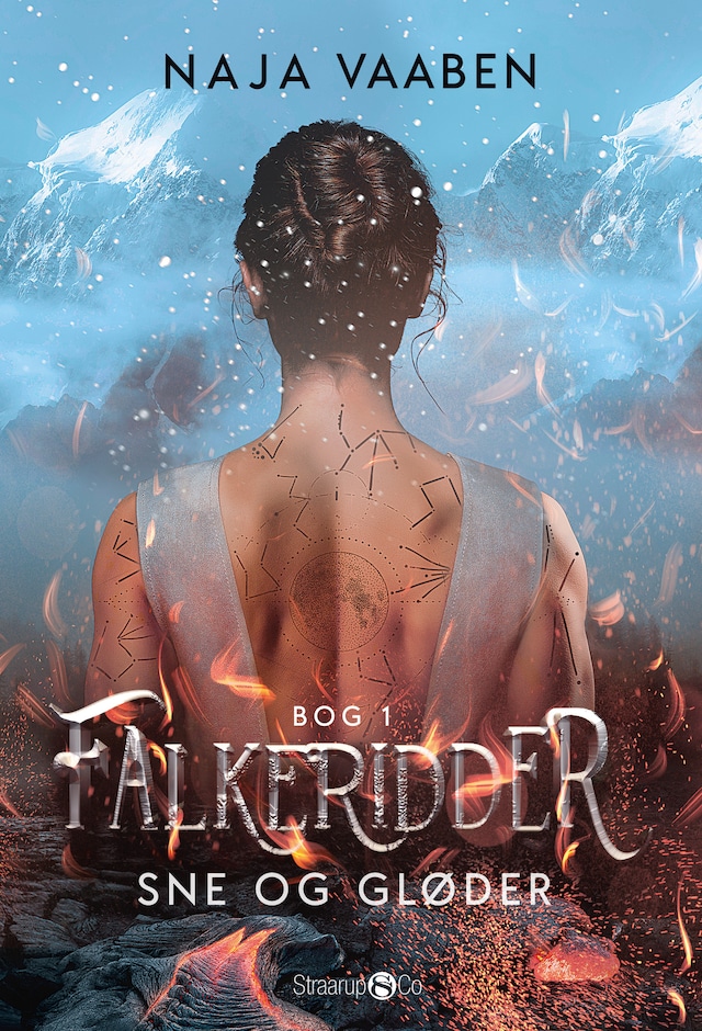 Kirjankansi teokselle Falkeridder (1)